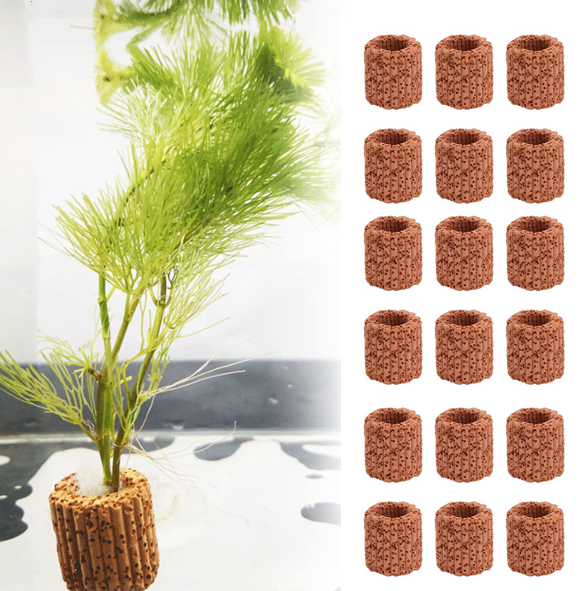 Aquarium Plant Design - 10/20 buah tanaman air akuatik, dasar