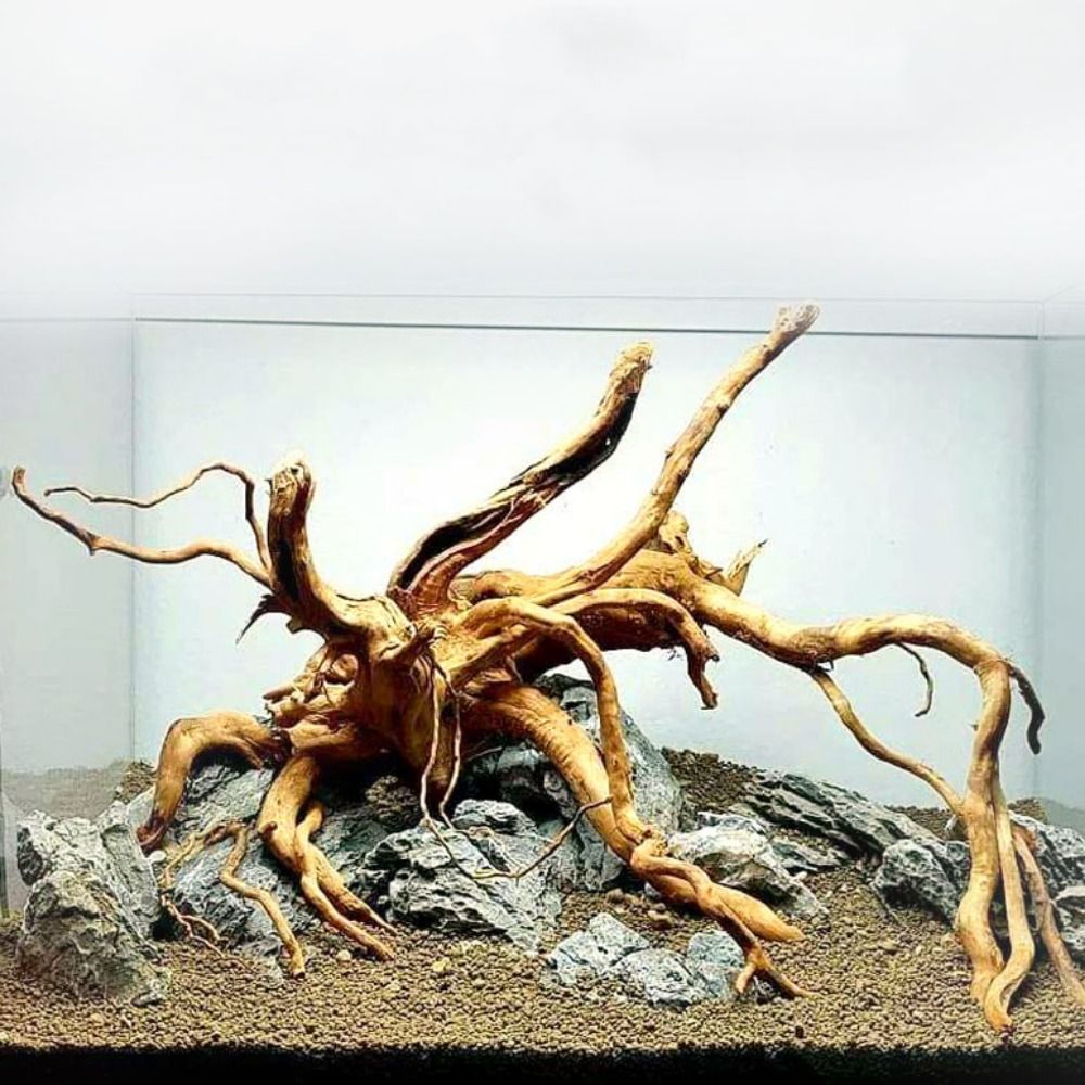 Aquarium Plant Root Tabs - Pohon alami dekorasi akuarium kayu karya