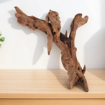 Aquarium Plant Root Tabs - Dekorasi Kayu Mati untuk Akuarium 20-25cm