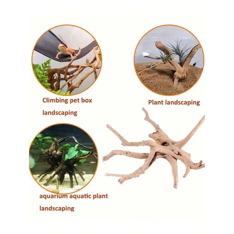 Kayu Apung Alami untuk Dekoras - Aquarium Plant Design ulasan dan harga