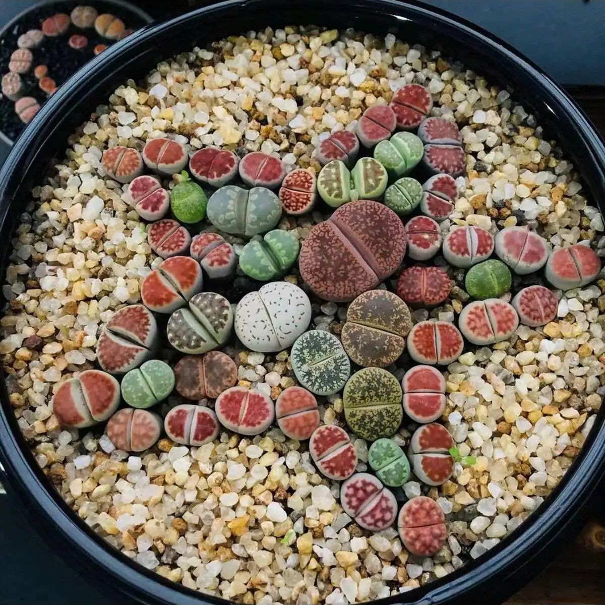 1 buah-250g batu kerikil krist - Aquarium Plant Design ulasan dan harga