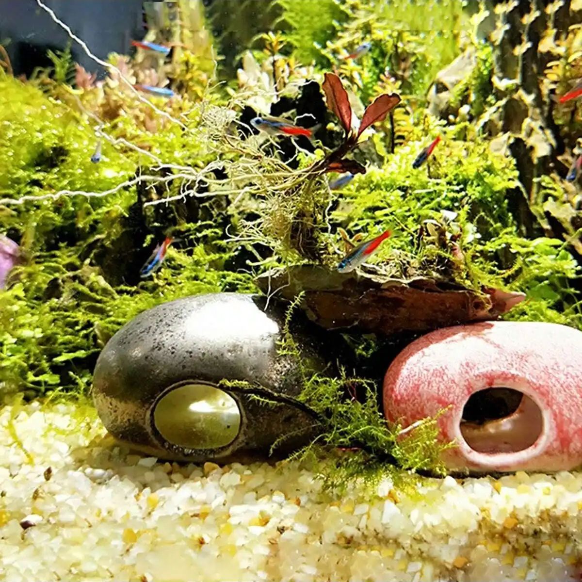 1 buah-250g batu kerikil krist - Aquarium Plant Design ulasan dan harga