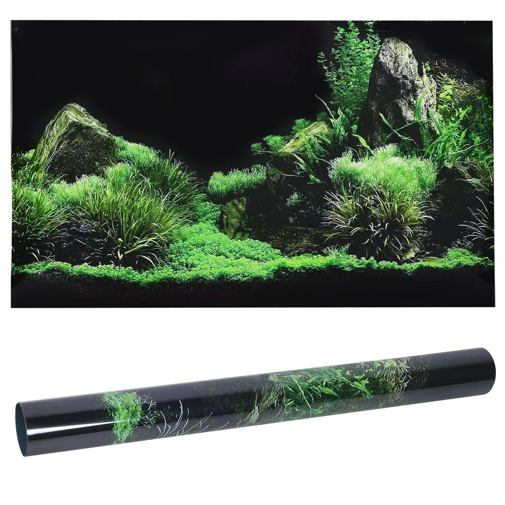 Latar belakang untuk akuarium  - Planted Aquarium Aquascape ulasan dan harga