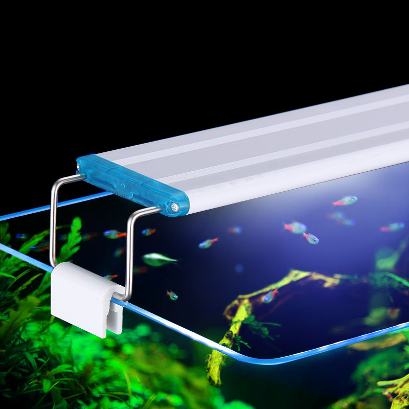 Lampu tanaman air LED Super ti - Aquarium Plant Iron ulasan dan harga
