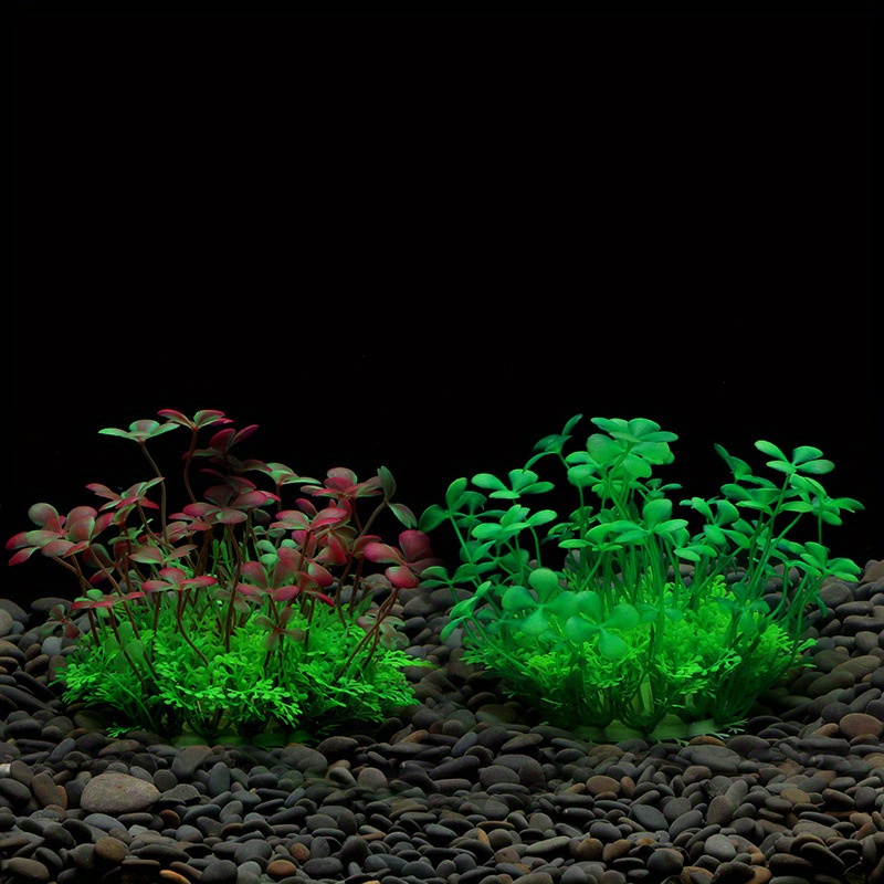 Dekorasi Tangki Ikan Akuarium  - Aquarium Plant Design ulasan dan harga