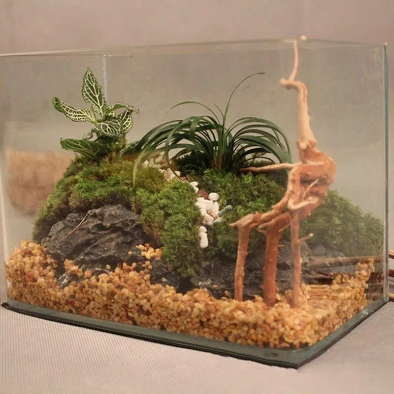 Pohon alami kayu apung akuariu - Aquarium Plant Root Tabs ulasan dan harga