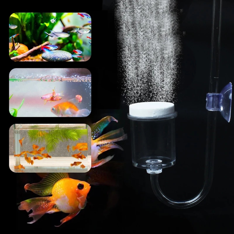 4 buah Set CO2 DIY Diffuser, u - Aquarium Planted Tank Substrate ulasan dan harga
