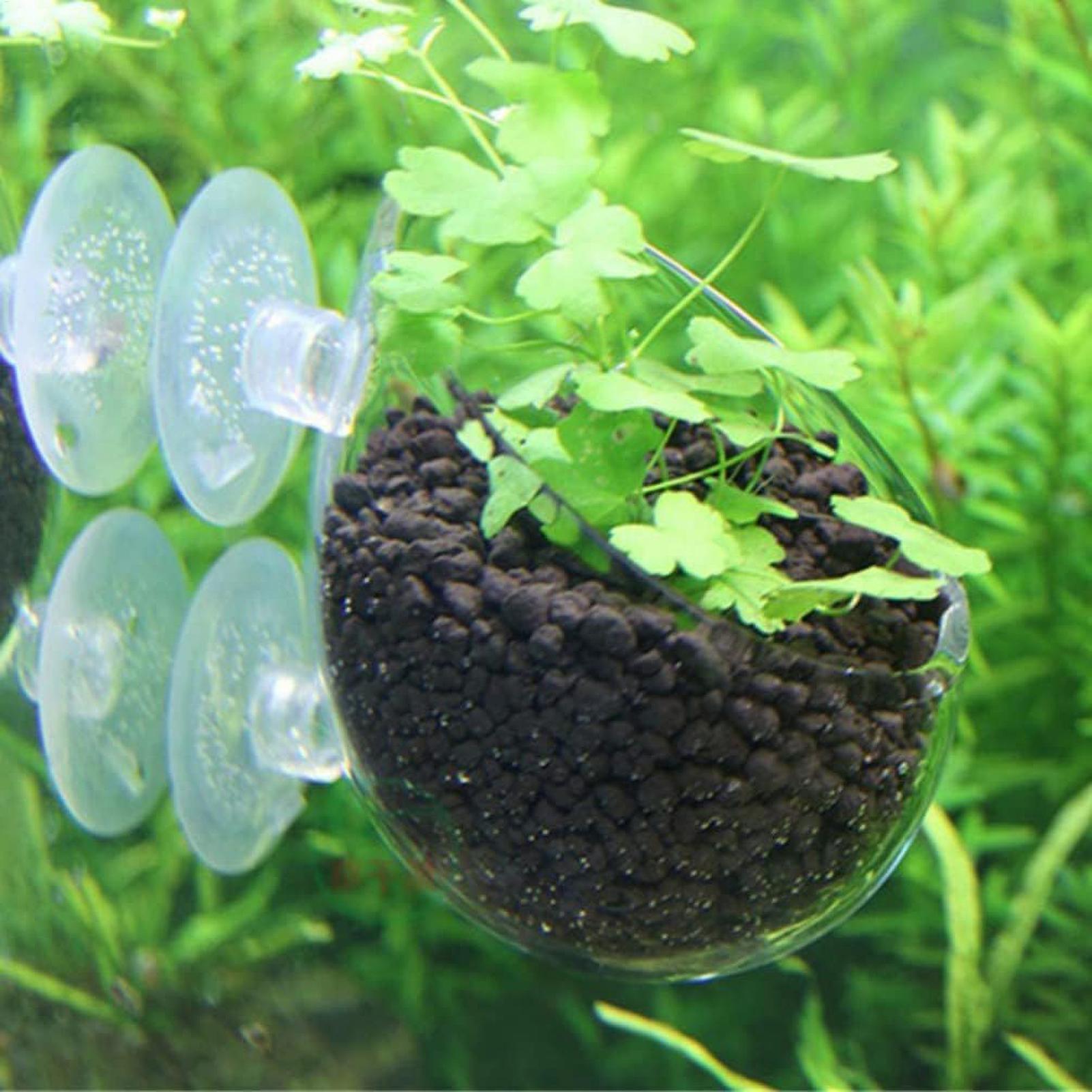 Tempat Tanaman Akuarium Kaca d - Aquarium Planted Tank Substrate ulasan dan harga