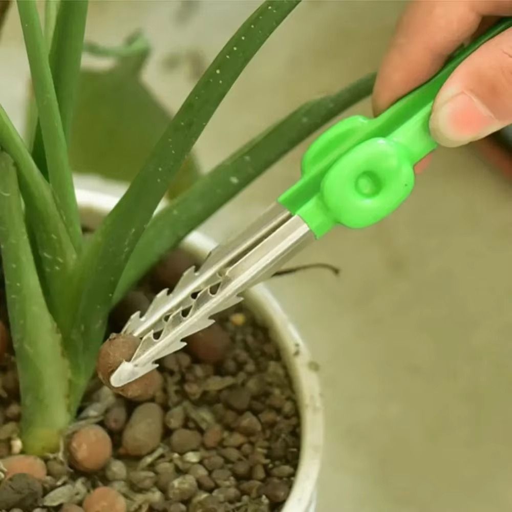 Pinset Berkebun dari Baja Taha - Planted Clip Tweezers ulasan dan harga