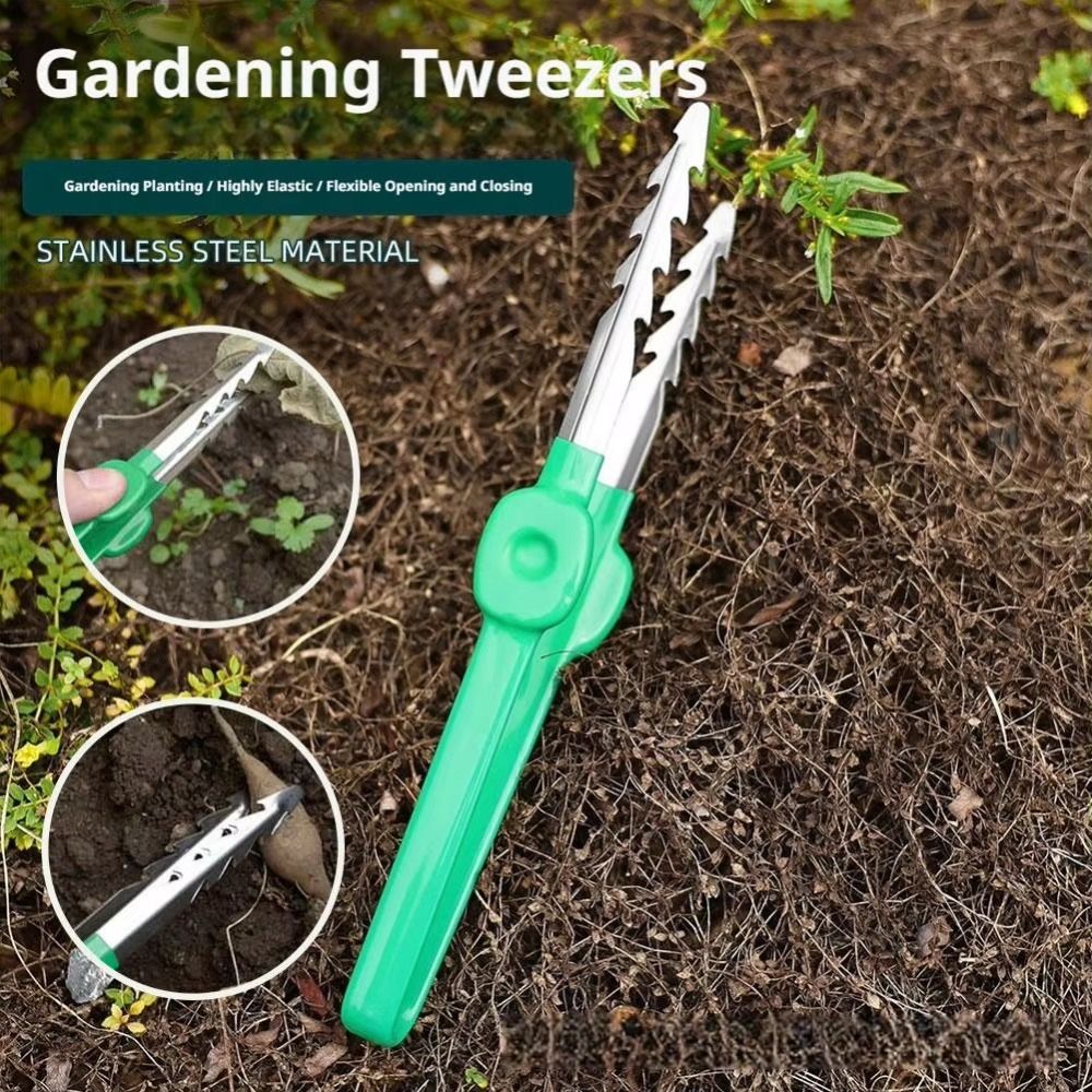 Pinset Berkebun dari Baja Taha - Planted Clip Tweezers ulasan dan harga