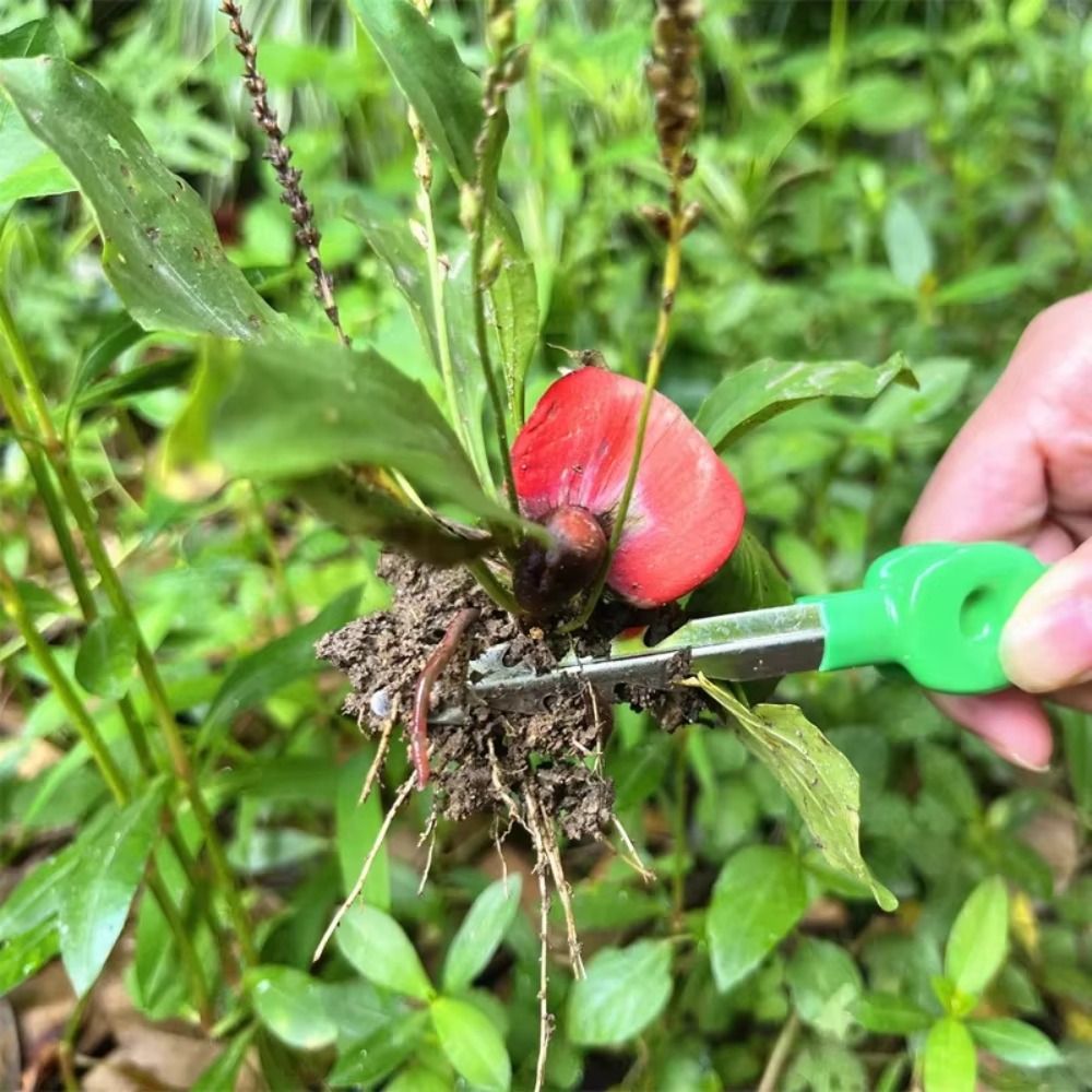 Pinset Berkebun dari Baja Taha - Planted Clip Tweezers ulasan dan harga