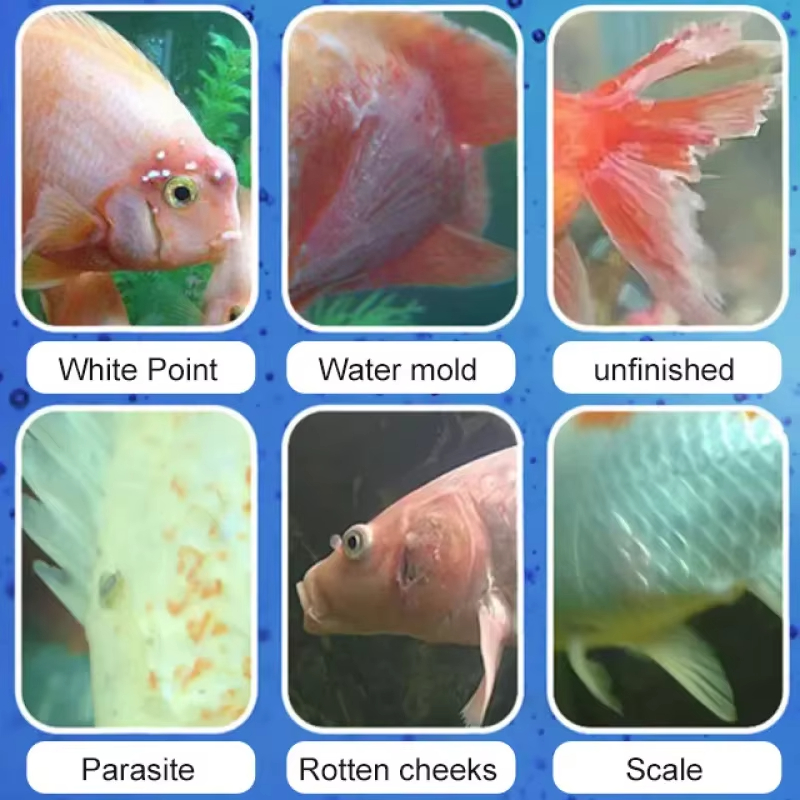 Perawatan Penyakit Ikan SIKEZH - Aquarium Plant Root Tabs ulasan dan harga