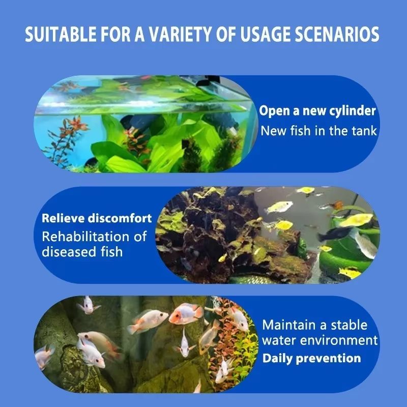 Perawatan Penyakit Ikan SIKEZH - Aquarium Plant Root Tabs ulasan dan harga
