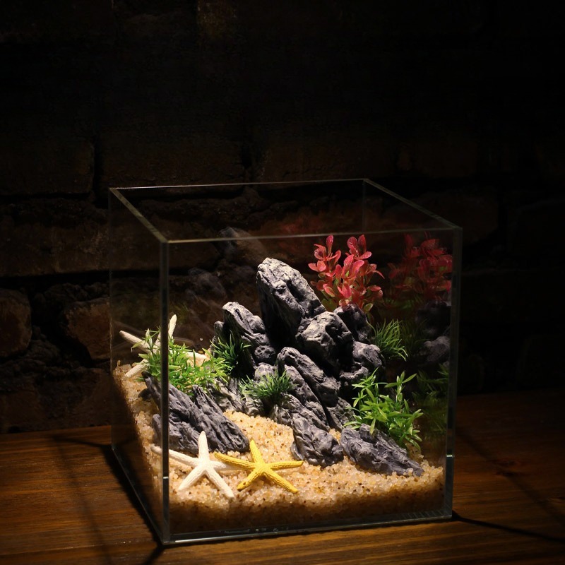 Dekorasi Akuarium Simulasi Bat - Aquarium Planted Setup ulasan dan harga