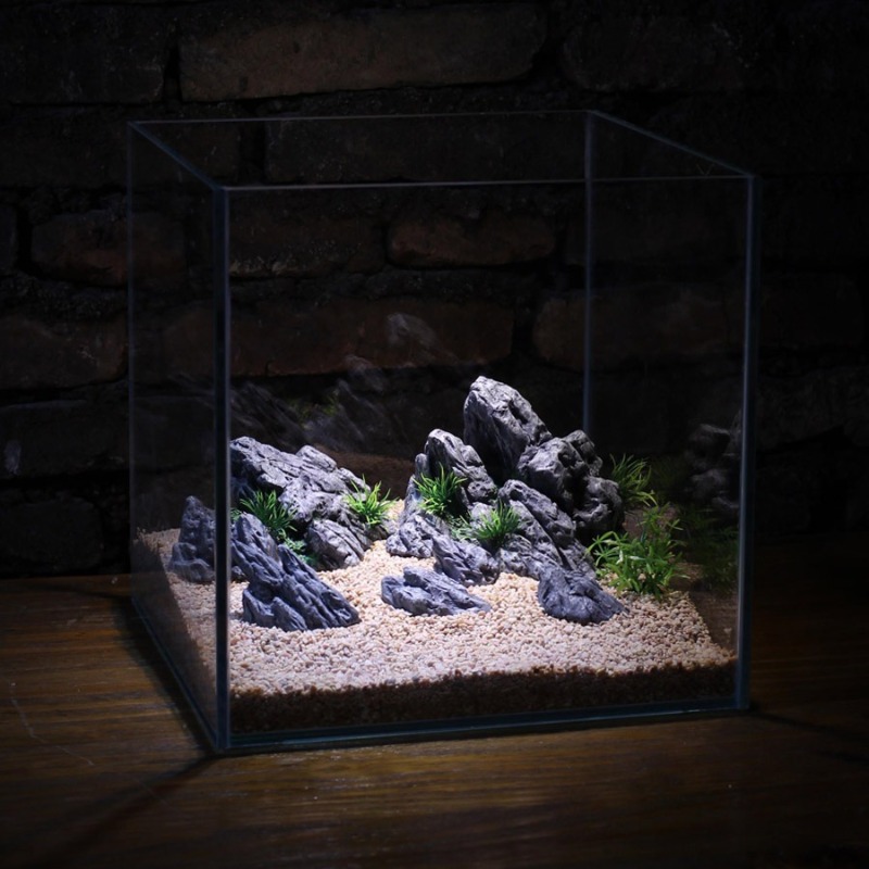 Dekorasi Akuarium Simulasi Bat - Aquarium Planted Setup ulasan dan harga