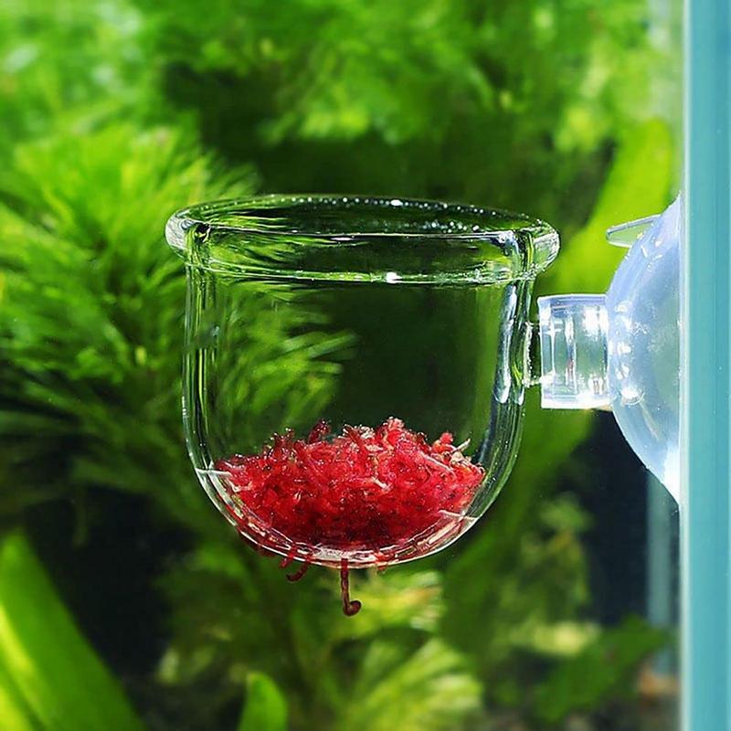 Dekorasi Akuarium Pot Cangkir  - Aquarium Plant Design ulasan dan harga