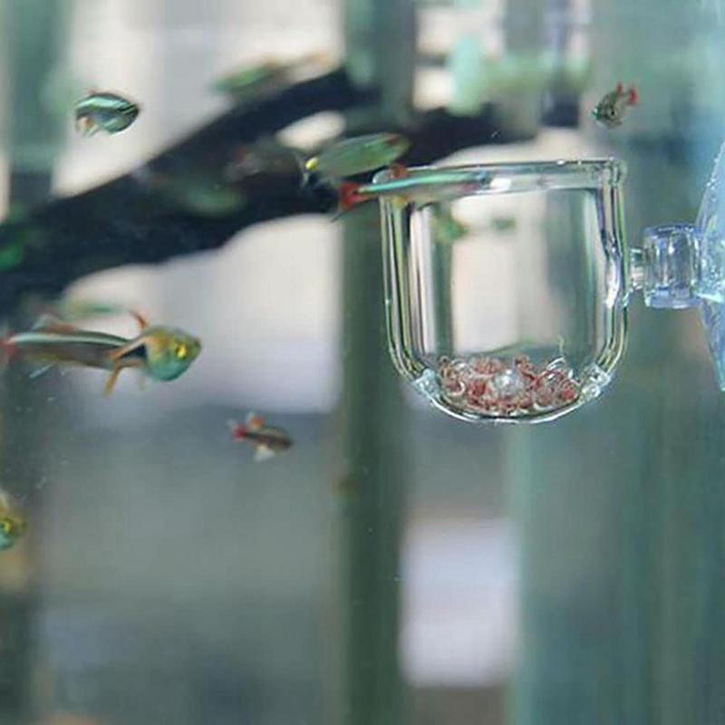 Dekorasi Akuarium Pot Cangkir  - Aquarium Plant Design ulasan dan harga