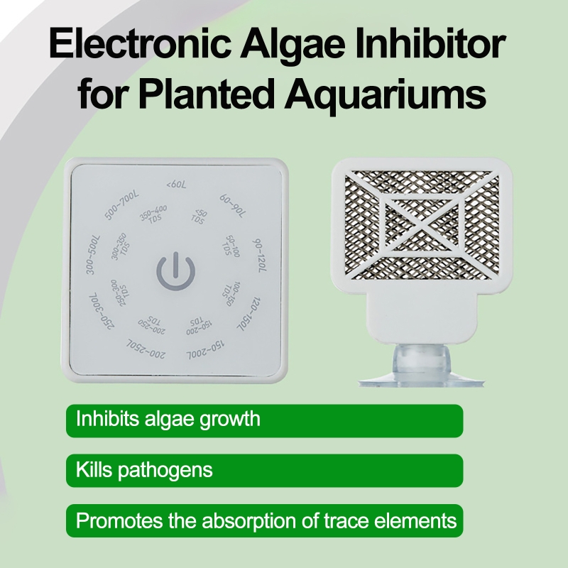 Alat Pembersih Tangki Ikan Aku - Planted Aquarium Algae ulasan dan harga