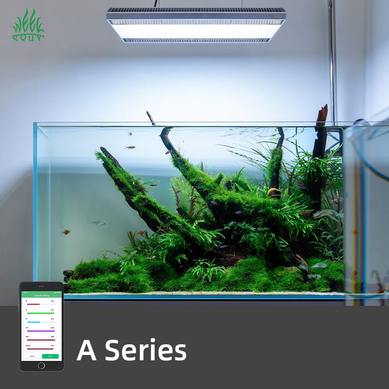 Lampu Akuarium LED Week Aqua A - Planted Aquarium Hanging Light ulasan dan harga