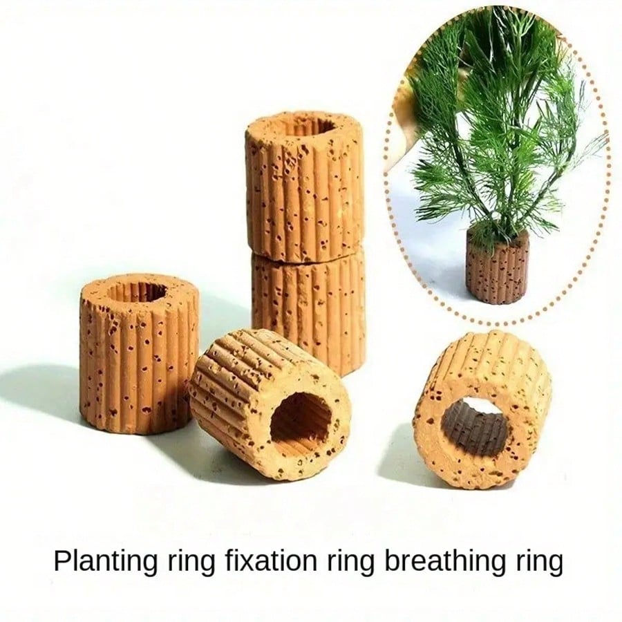 Cincin Fiksasi Tanaman Akuariu - Planted Aquarium Aquascape ulasan dan harga