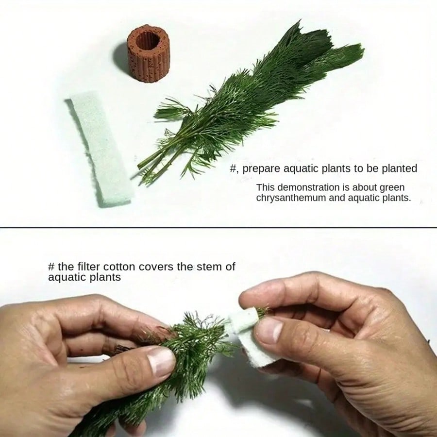 Cincin Fiksasi Tanaman Akuariu - Planted Aquarium Aquascape ulasan dan harga