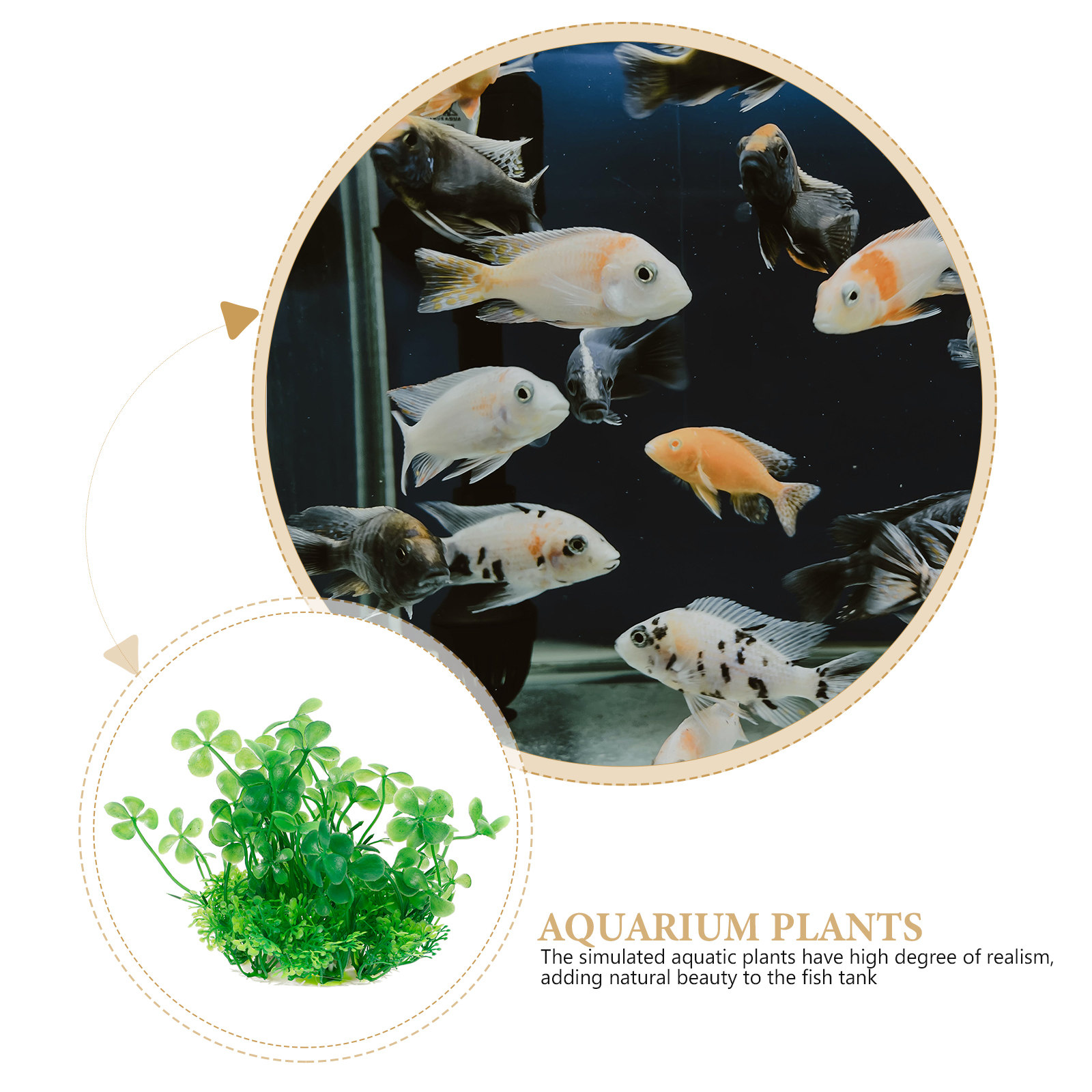 Tanaman Akuarium Buatan Realis - Aquarium Planted Setup ulasan dan harga