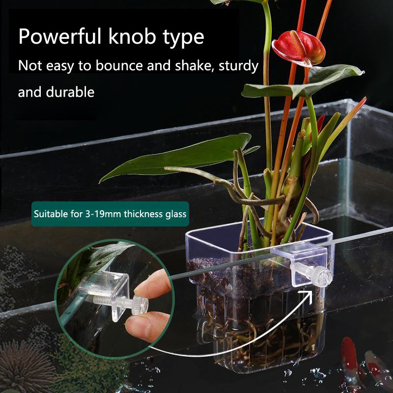 Cangkir Penanaman Hidroponik A - Aquarium Planted Setup ulasan dan harga