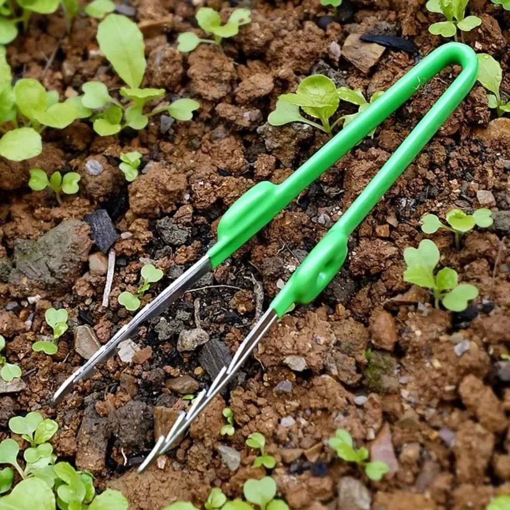 Pinset Berkebun dari Baja Taha - Planted Clip Tweezers ulasan dan harga