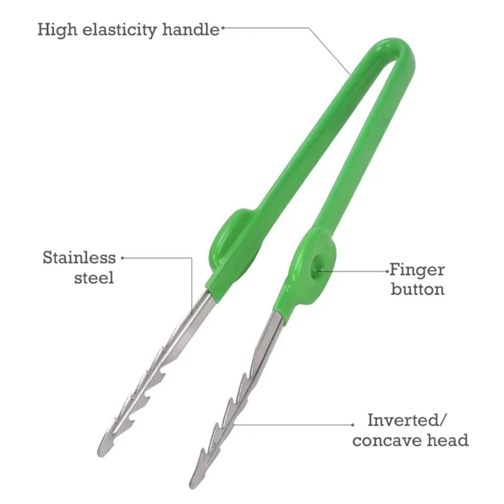 Pinset Berkebun dari Baja Taha - Planted Clip Tweezers ulasan dan harga
