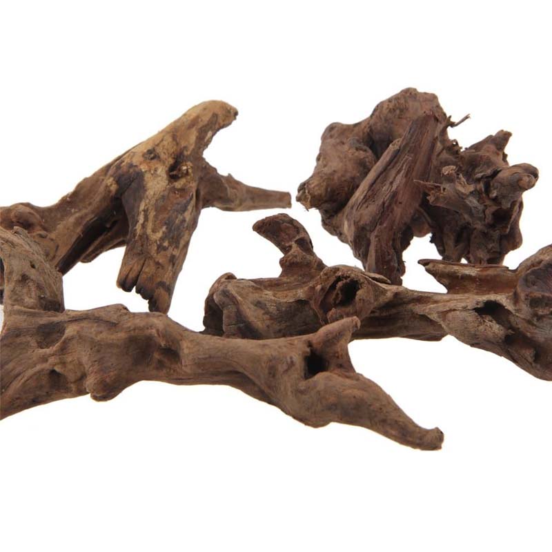 1 buah alami akuarium dapat te - Aquarium Plant Root Tabs ulasan dan harga