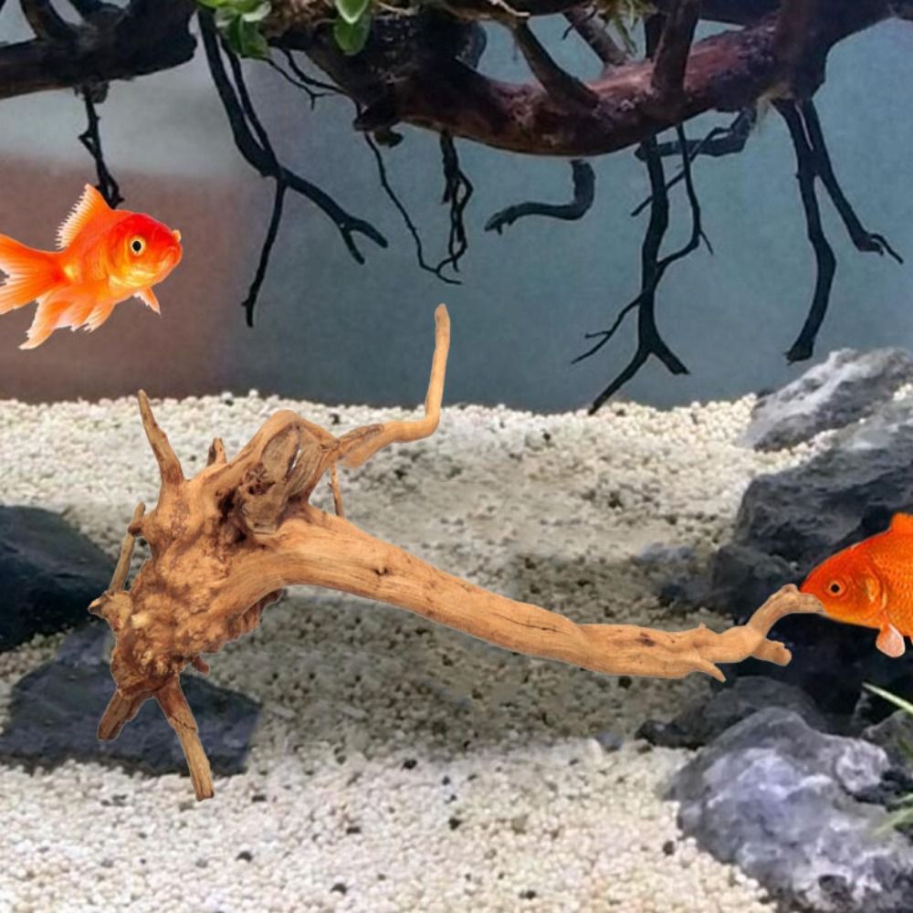 Pohon alami dekorasi akuarium  - Aquarium Plant Root Tabs ulasan dan harga
