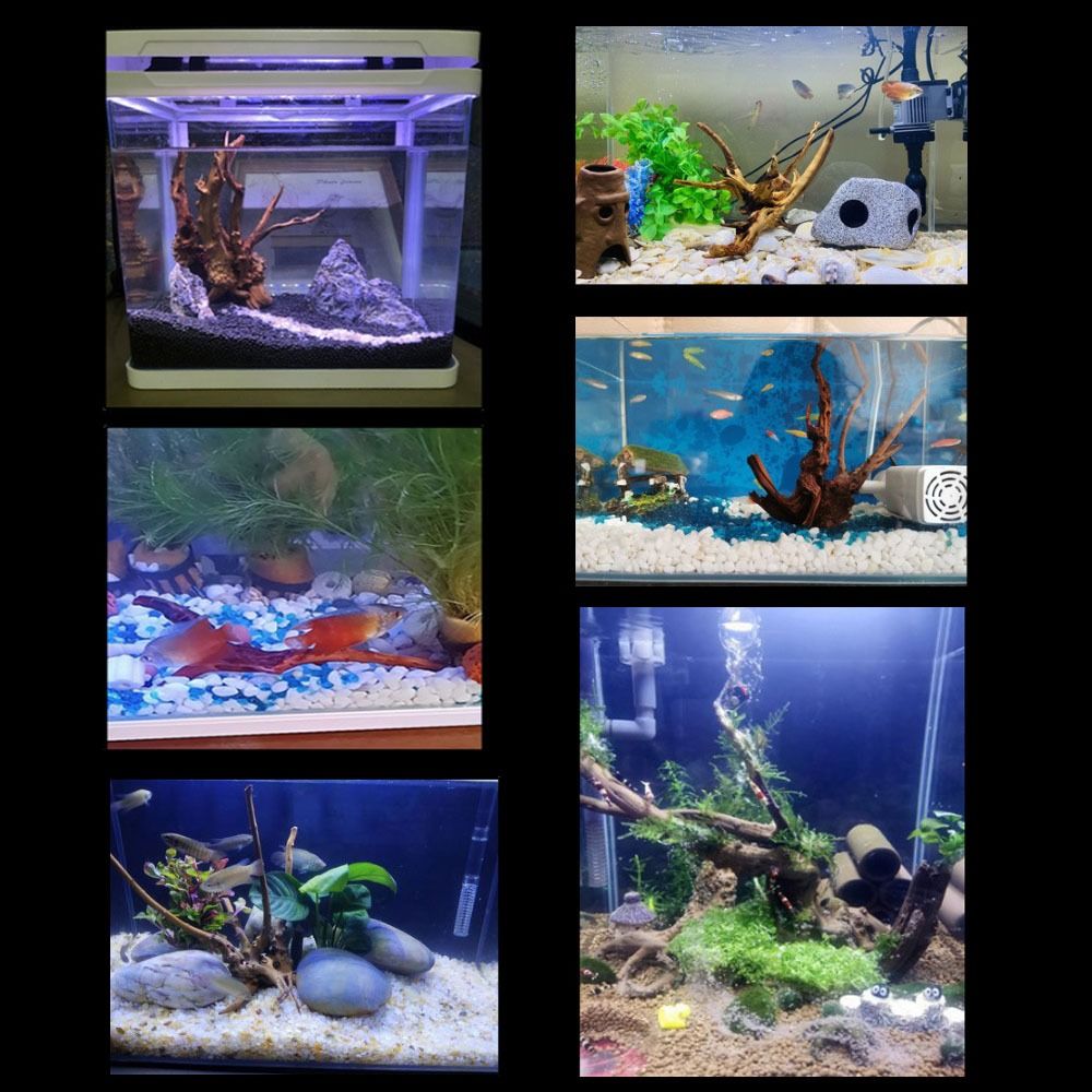 Pohon alami dekorasi akuarium  - Aquarium Plant Root Tabs ulasan dan harga