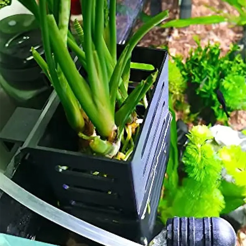 Keranjang penyimpanan tanaman  - Aquarium Plant Design ulasan dan harga