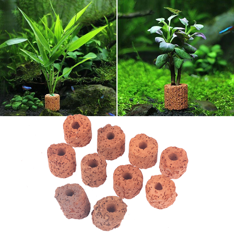 10 Buah Cincin Tanaman Air Min - Aquarium Planted Setup ulasan dan harga