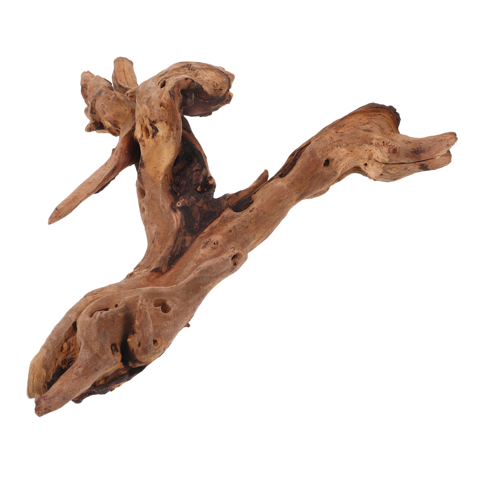 Dekorasi Kayu Mati untuk Akuar - Aquarium Plant Root Tabs ulasan dan harga