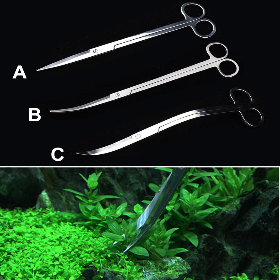 25Cm Gunting Akuarium Baja Tah - Planted Aquarium Algae ulasan dan harga