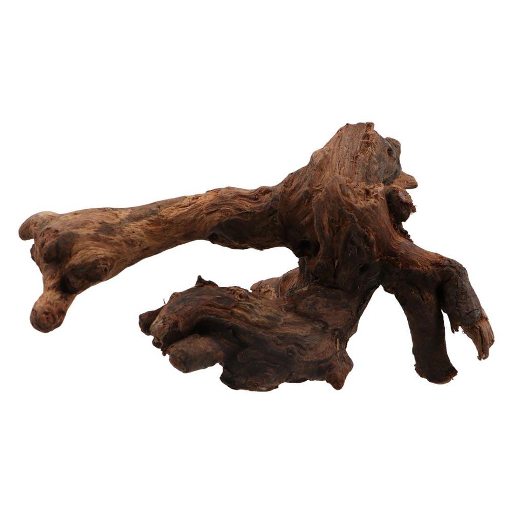 Kayu Karang Bentuk Tidak Berat - Aquarium Plant Root Tabs ulasan dan harga