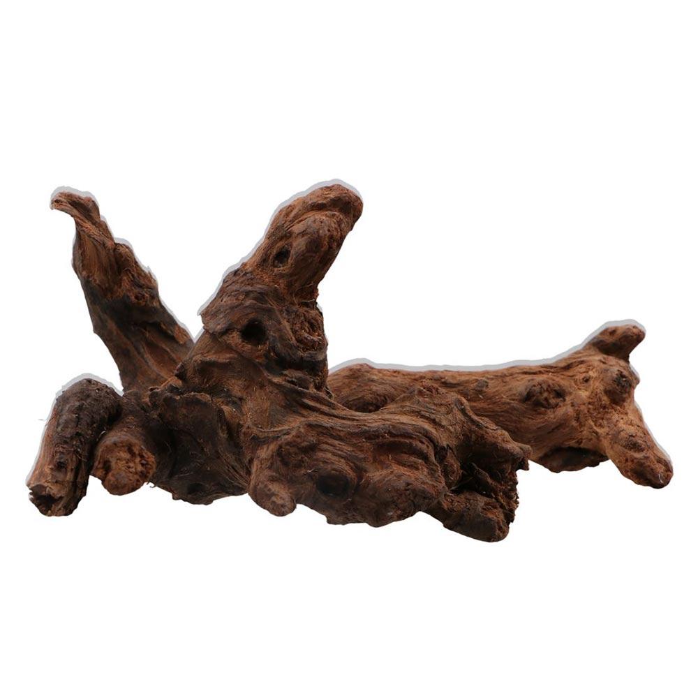 Kayu Karang Bentuk Tidak Berat - Aquarium Plant Root Tabs ulasan dan harga