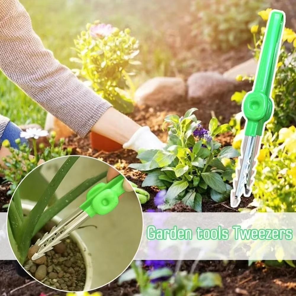 Pinset Berkebun Stainless Stee - Planted Clip Tweezers ulasan dan harga