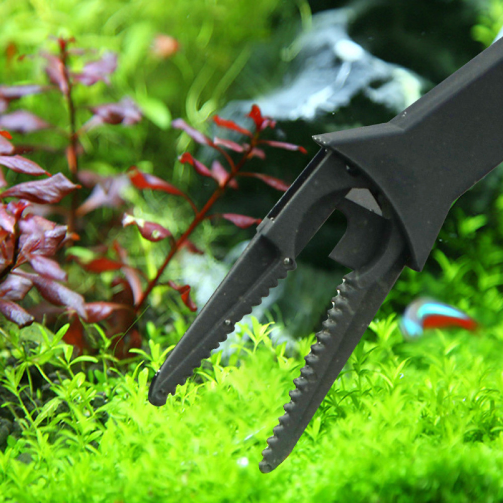 Pinset Tanaman Akuarium, Penje - Planted Clip Tweezers ulasan dan harga