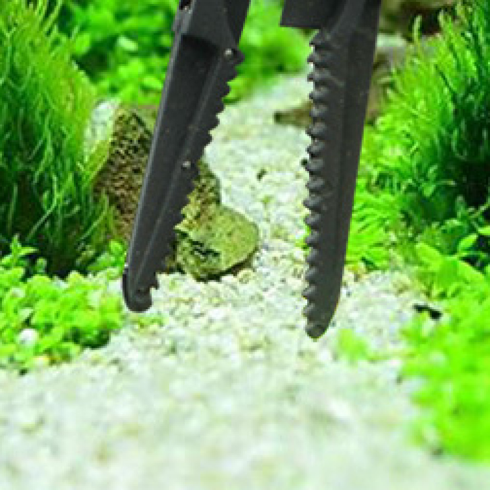 Pinset Plastik Panjang untuk T - Planted Clip Tweezers ulasan dan harga