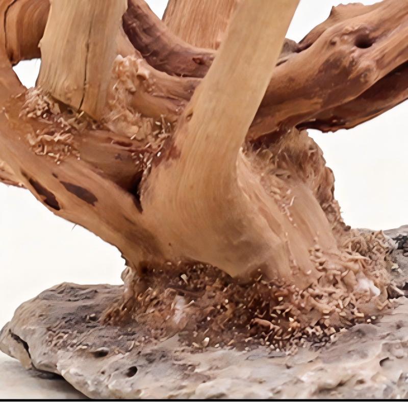 1 Buah Hiasan Kayu Lanskap Aku - Aquarium Plant Root Tabs ulasan dan harga