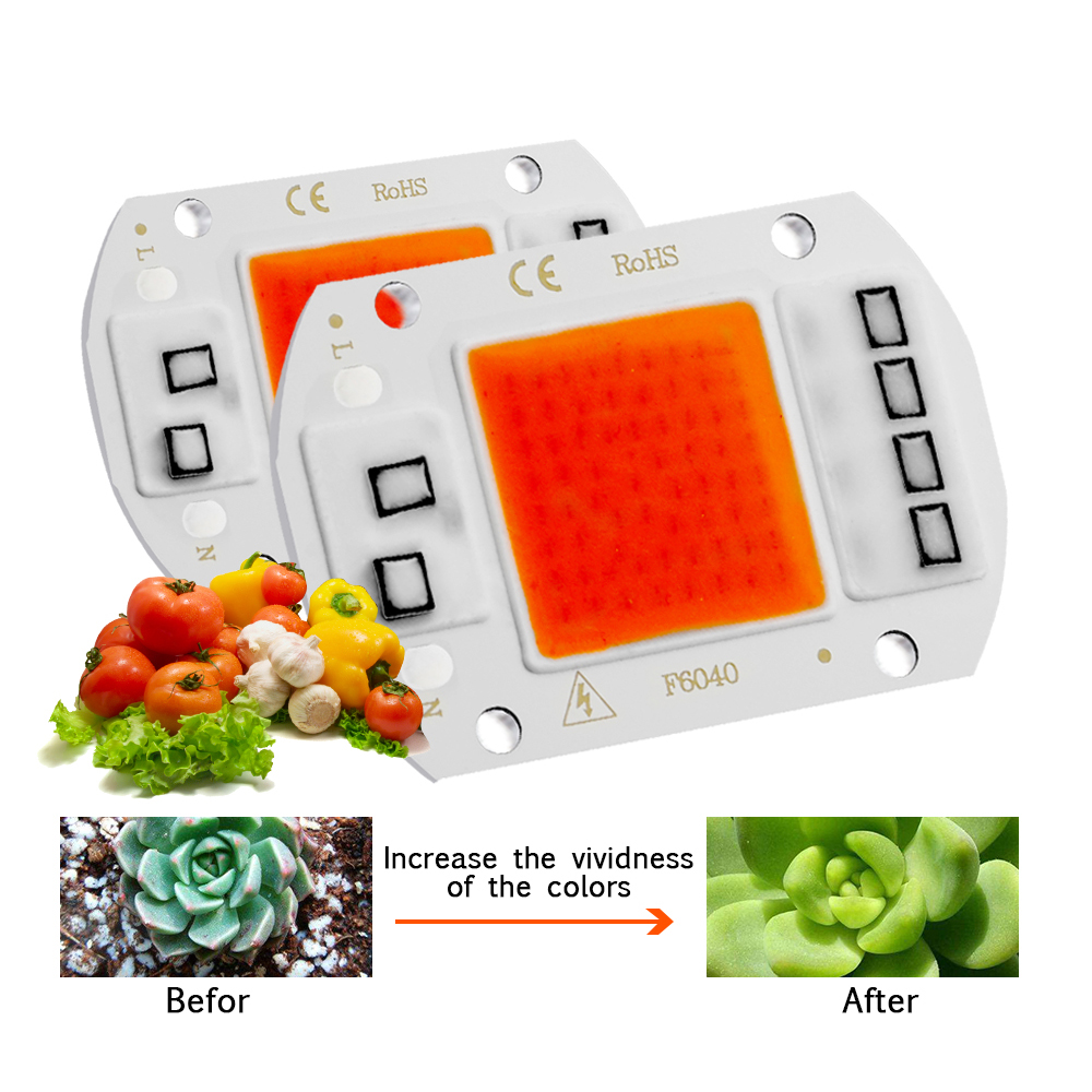 LED Grow Light Spektrum Penuh  - Aquarium Plant Root Tabs ulasan dan harga