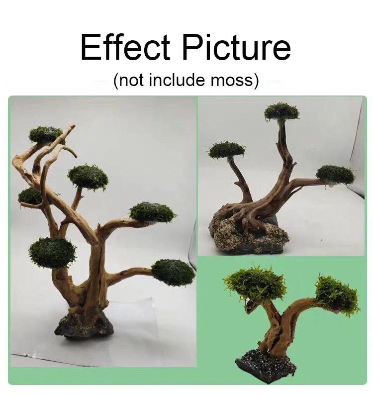Akuarium Driftwood lansekap de - Aquarium Plant Root Tabs ulasan dan harga