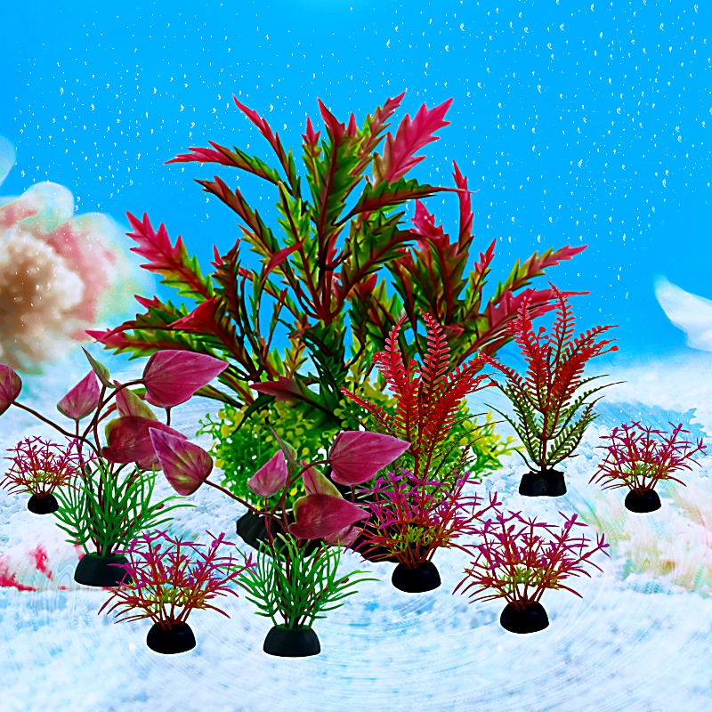 10 buah tangki ikan DIY dekora - Aquarium Plant Design ulasan dan harga