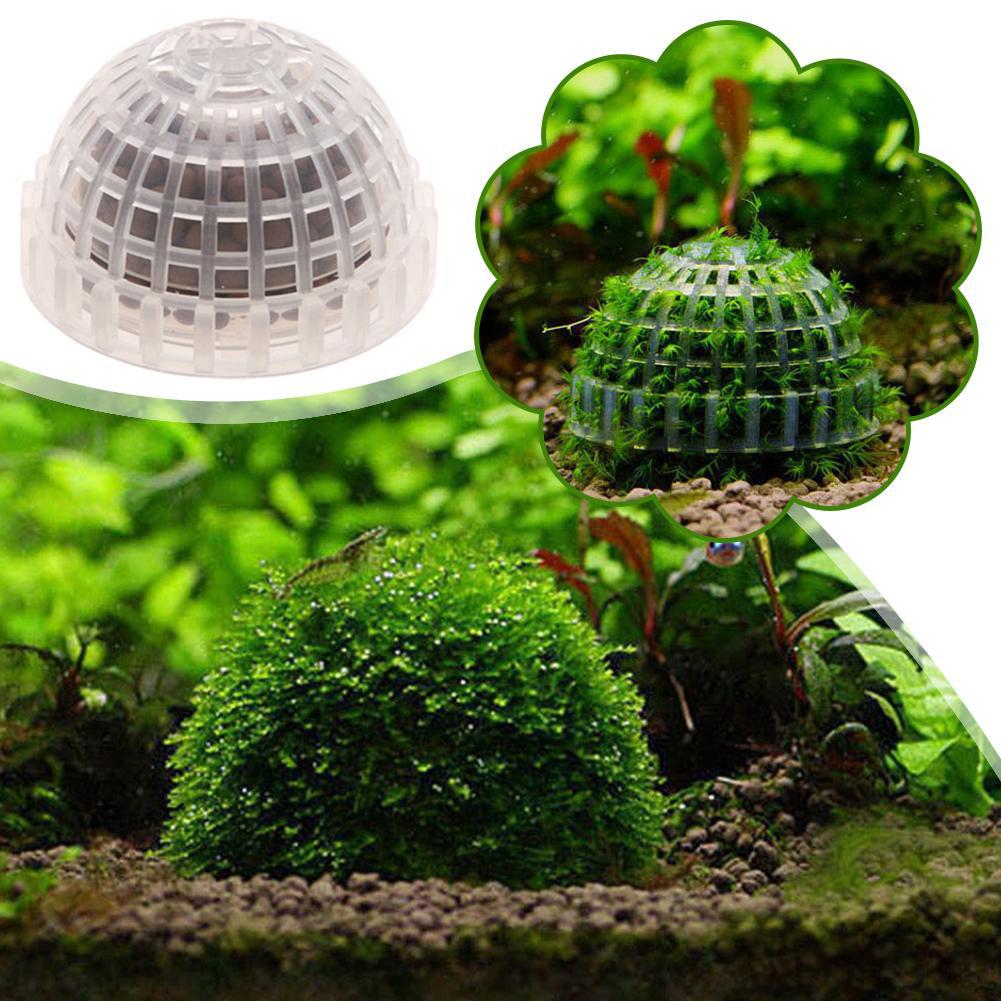 1 Buah Perlengkapan Hewan Peli - Aquarium Planted Tank Substrate ulasan dan harga