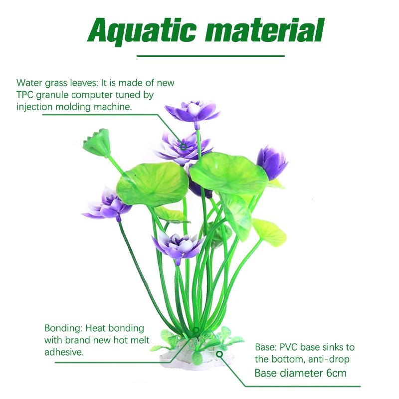 Akuarium Tanaman Teratai Buata - Aquarium Plant Design ulasan dan harga