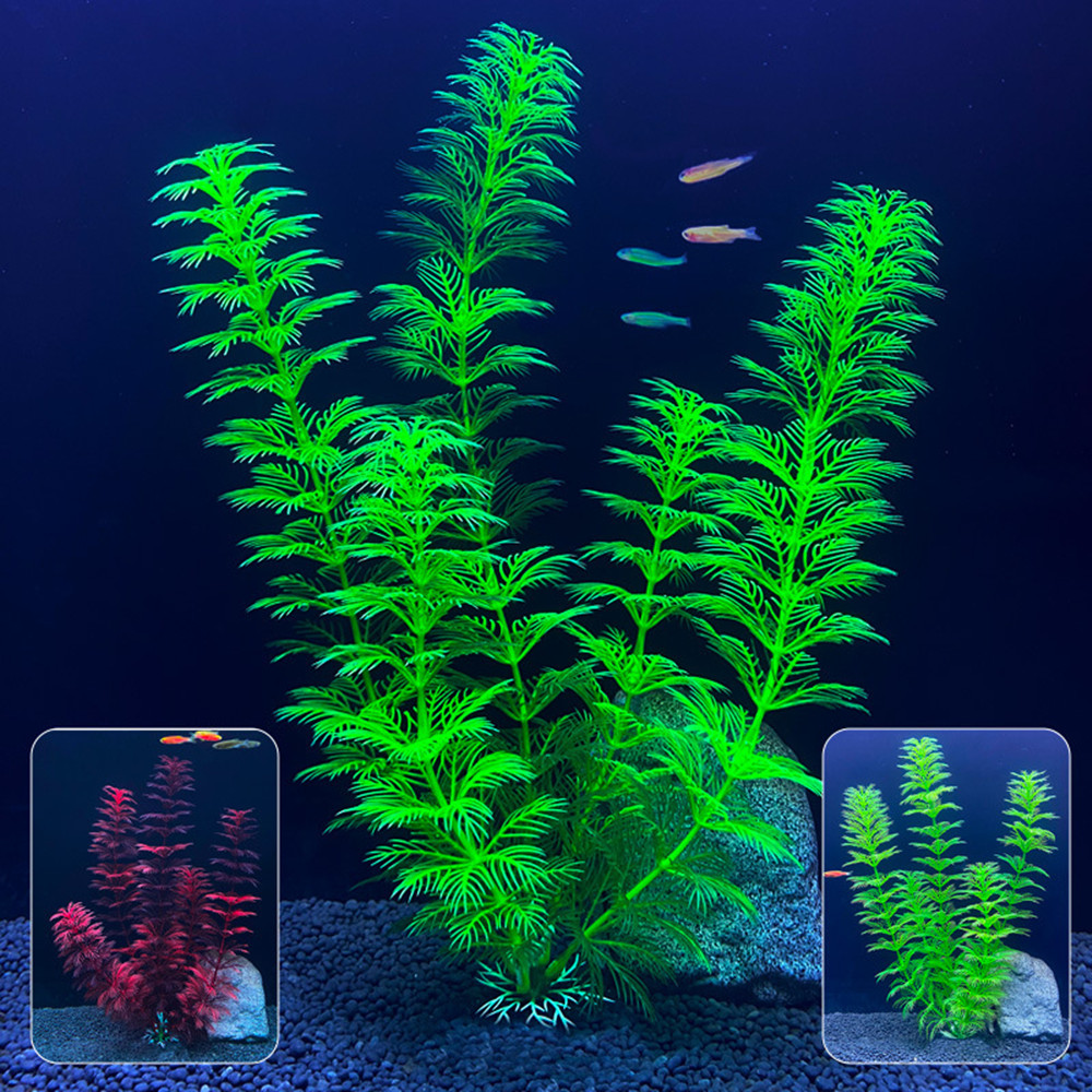 14cm - 30cm Tanaman Akuarium P - Aquarium Plant Design ulasan dan harga