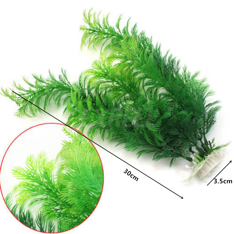14cm - 30cm Tanaman Akuarium P - Aquarium Plant Design ulasan dan harga