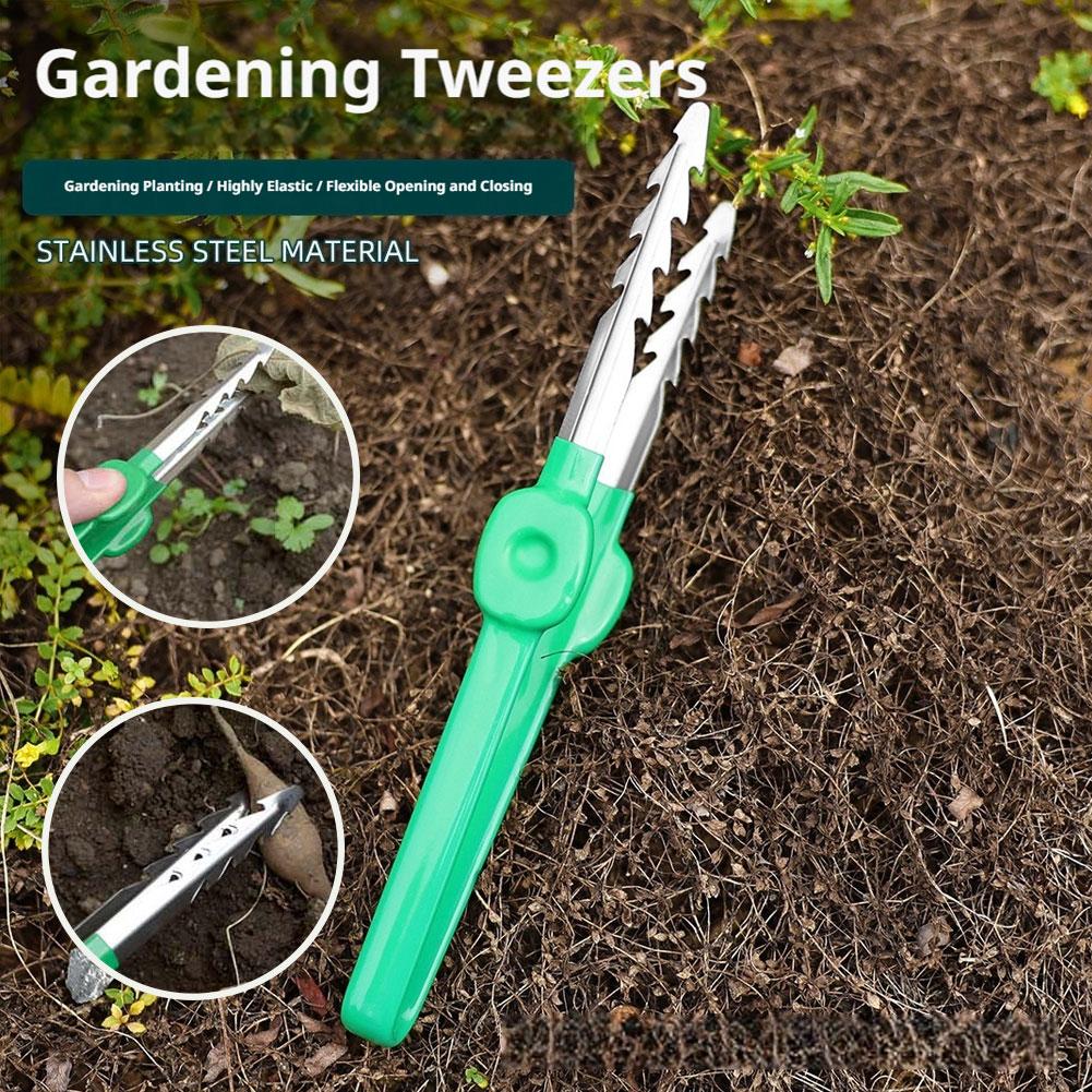 1 Buah Klip Penyiangan Taman L - Planted Clip Tweezers ulasan dan harga